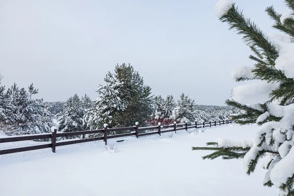 Гостевой дом на лесном озере
