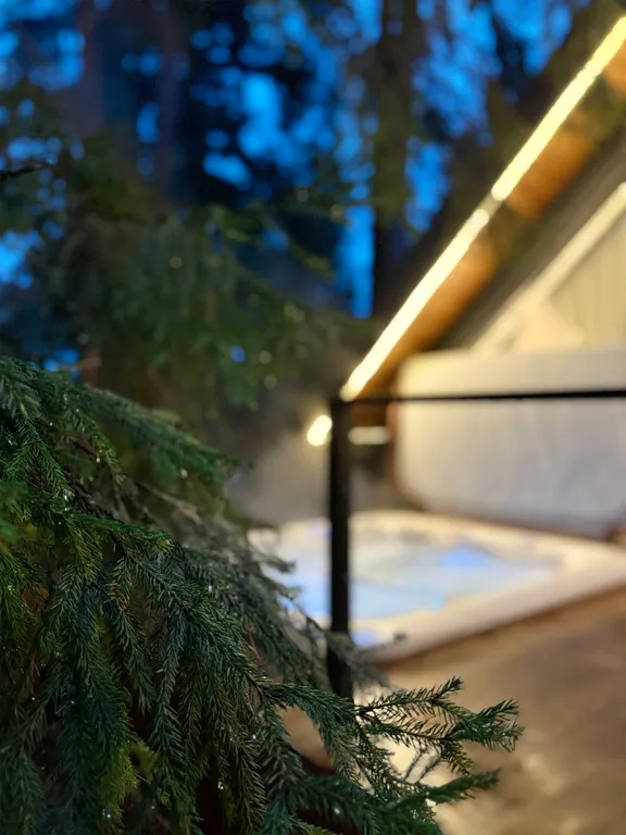 Уютный дом Elovoye в сердце леса с уличным спа-бассейном