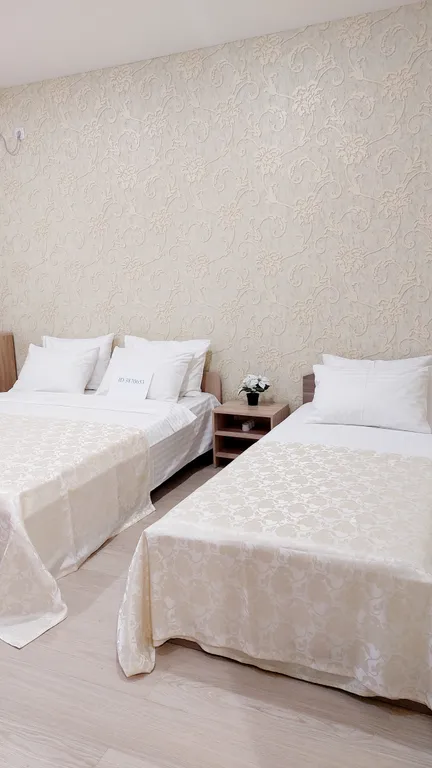 Евротрешка возле гипермаркета Мега и Леруа Мерлен