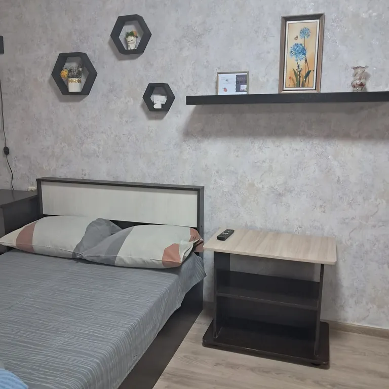 Однокомнатная квартира в центре города