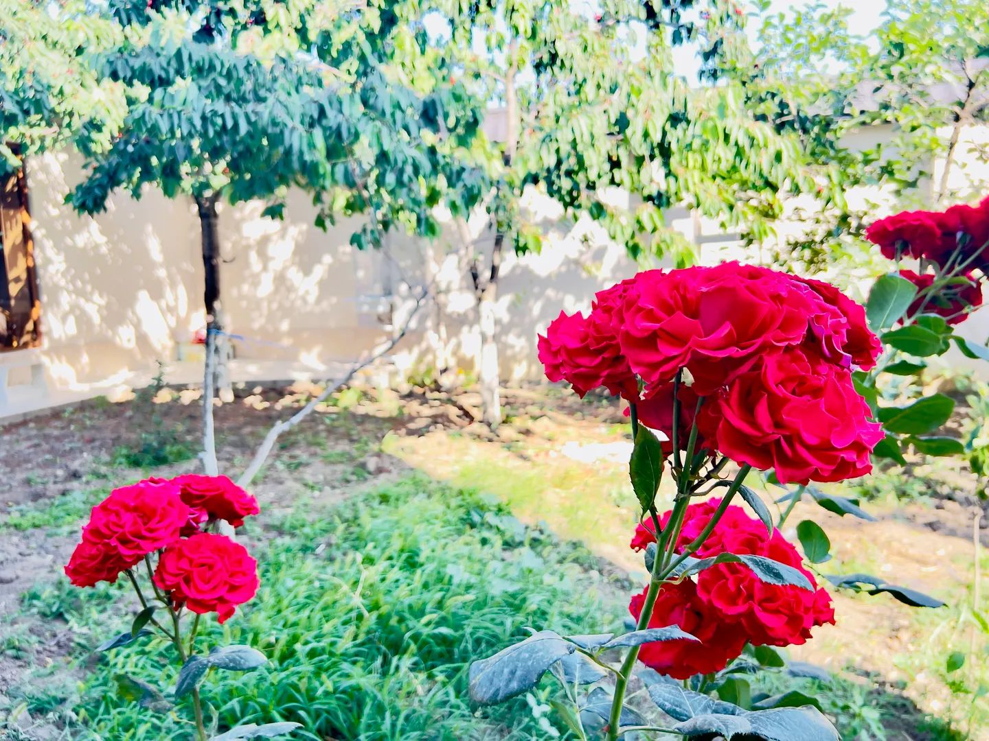 Фото