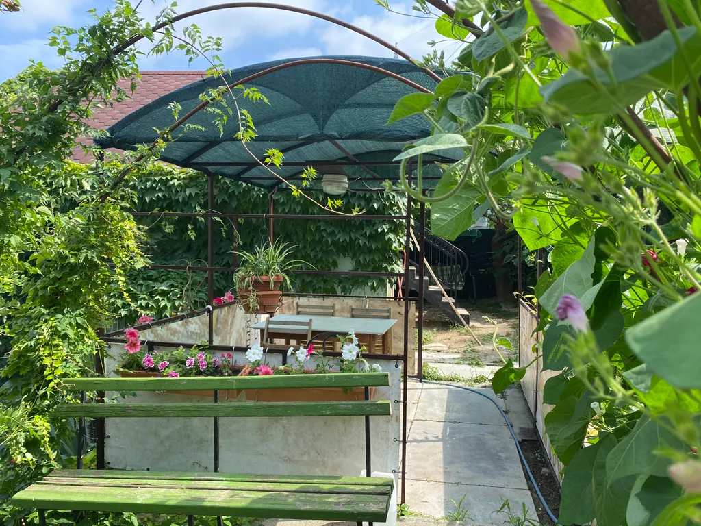 Уютный номер с видом на горы