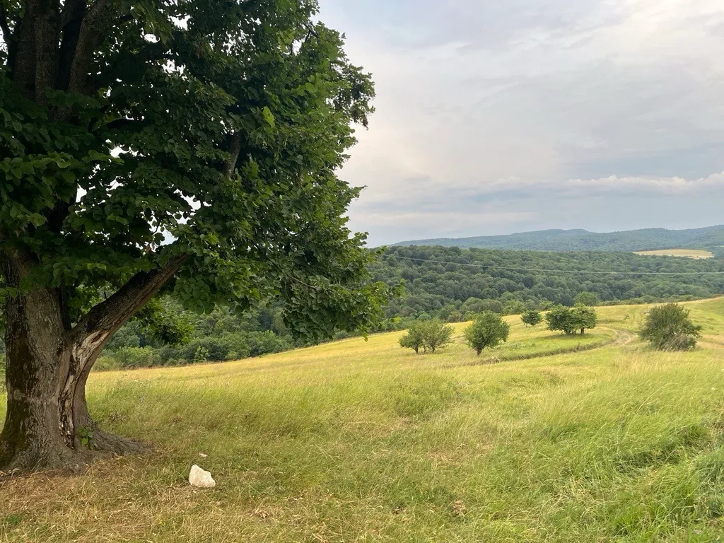 Коттедж Дизайнерский Барнхаус в природе Адыгеи — Новосвободная