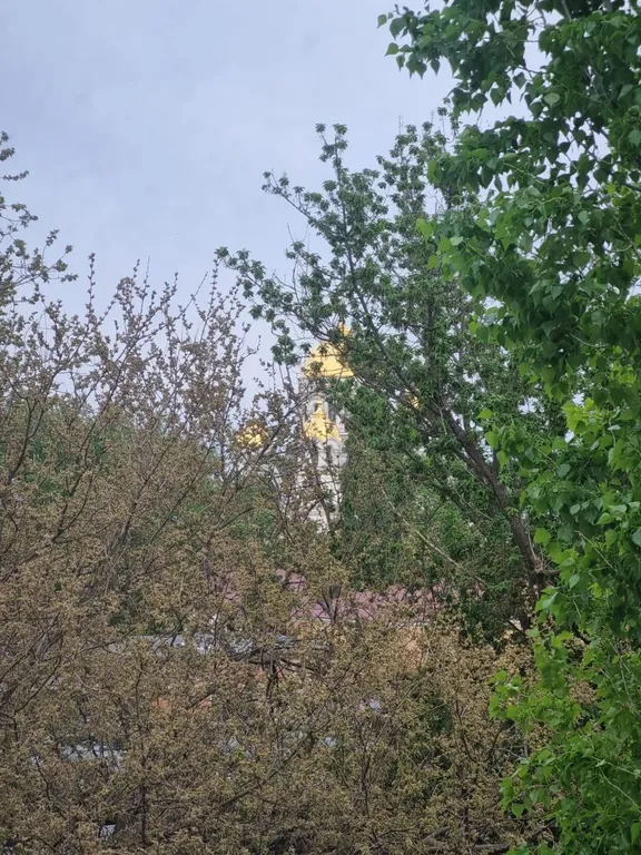 Уютная 1-комнатная квартира в центре города