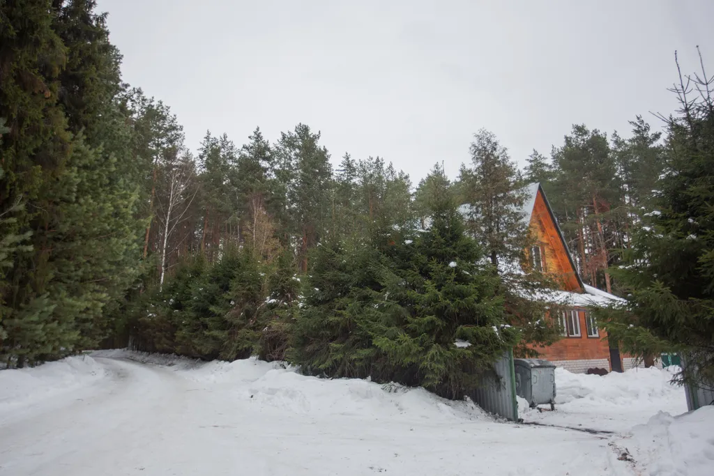 Усадьба Волжское лесничество