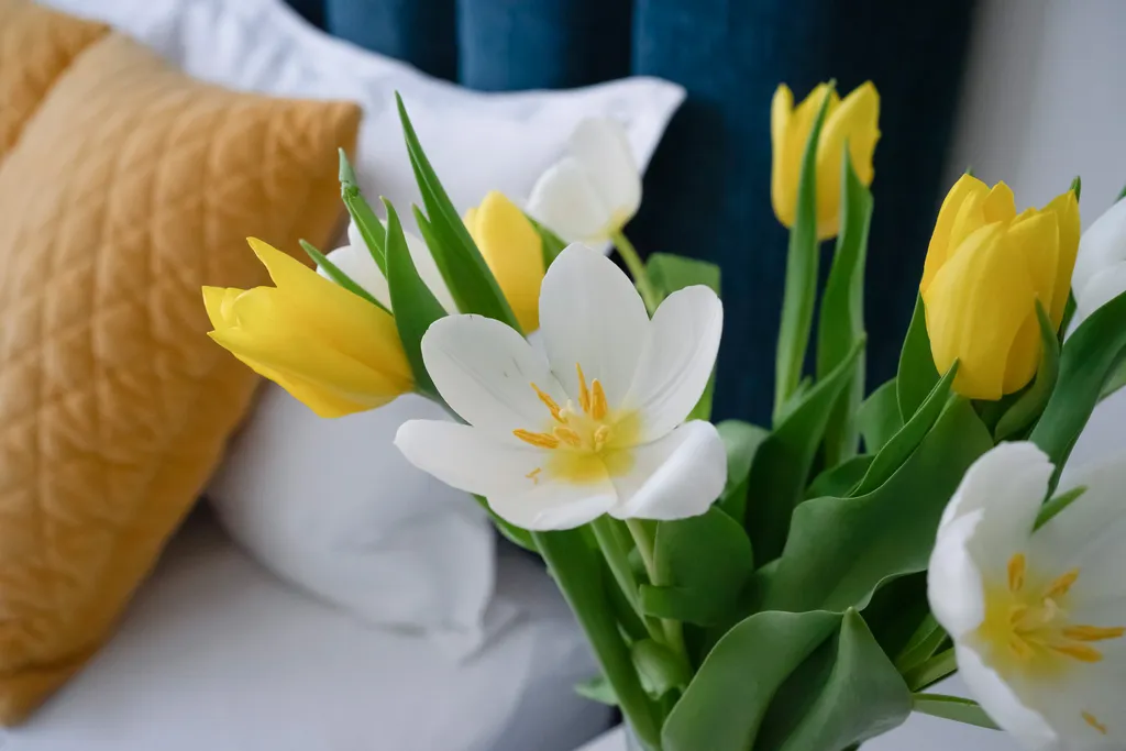 Квартира Квартира Стильная студия Бирюзовая в центре — Калининград