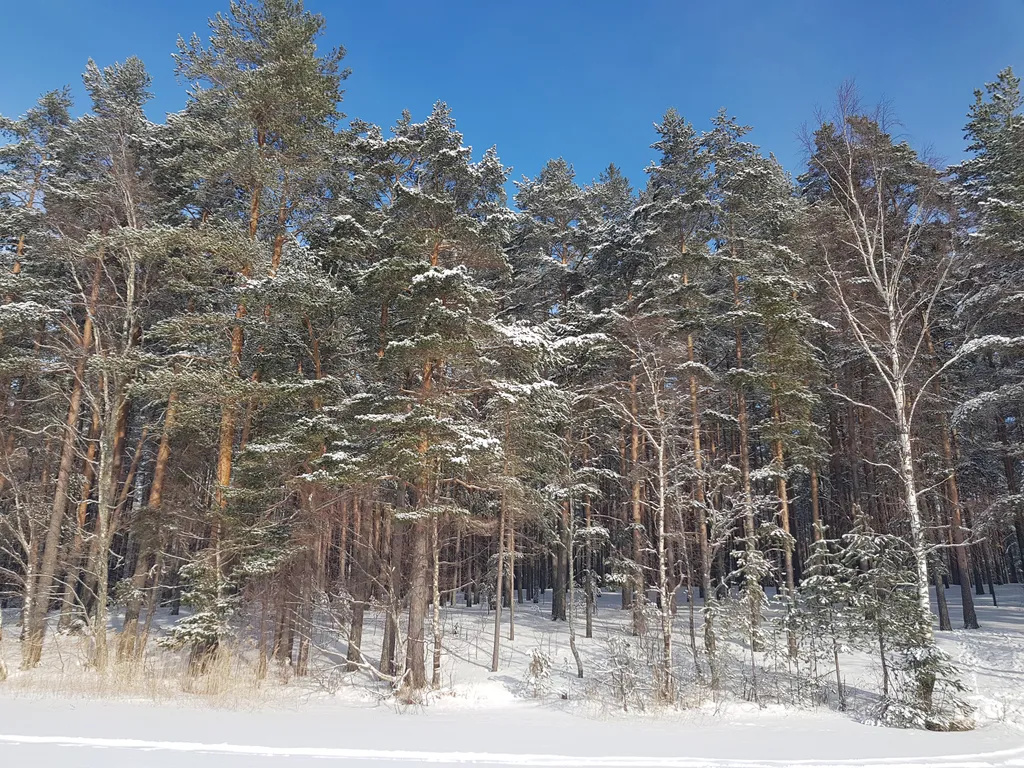 Коттедж Уютнейший дом с роскошным видом на озеро и пляжем.Карелия совсем рядом — Ларионово