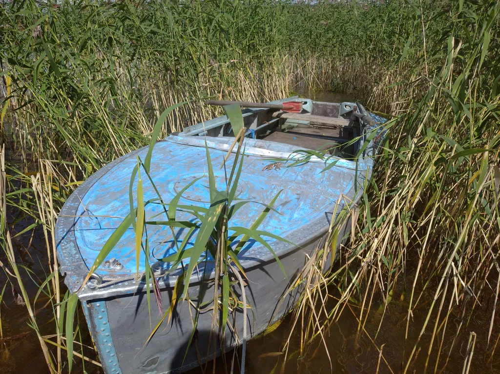 Домик на берегу озера