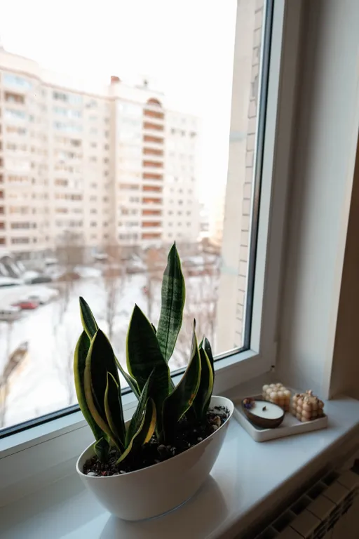 Уютная квартира рядом с парком