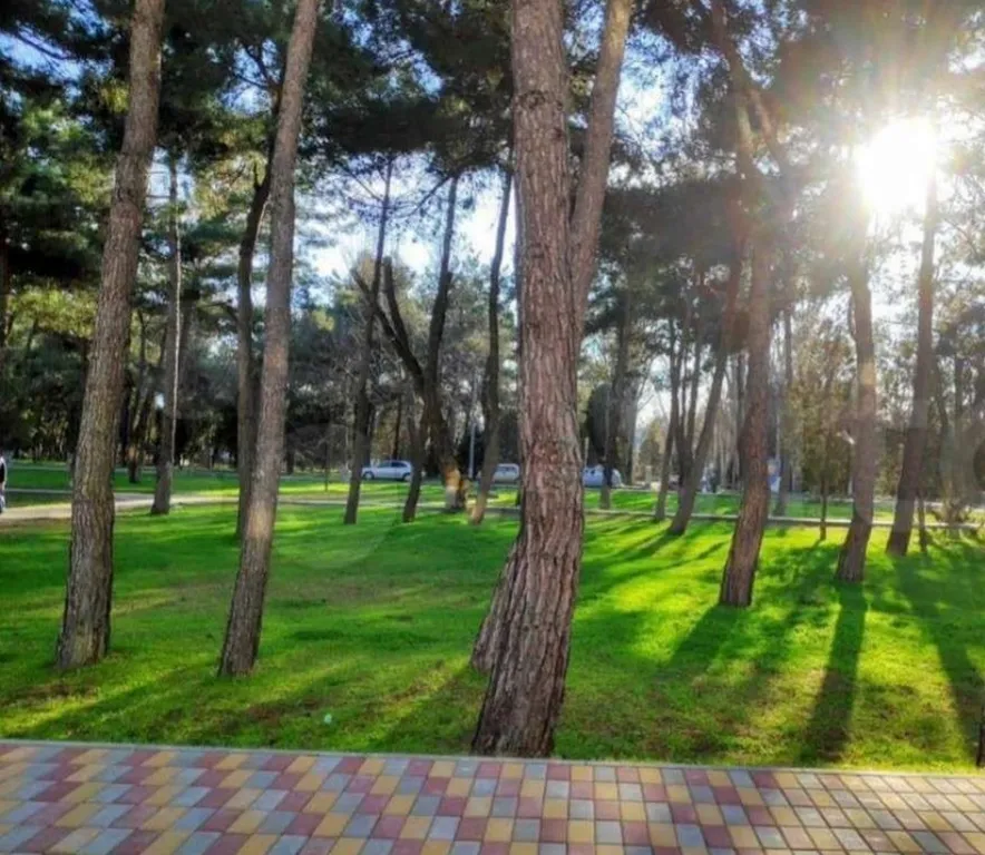 Квартира Апартаменты в 3 мин ходьбы до моря — Анапа