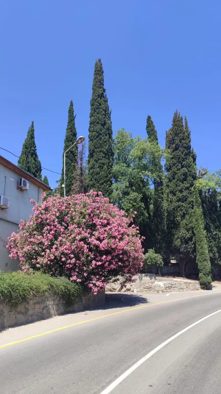 Апартаменты Седьмое небо - пора строить планы )))