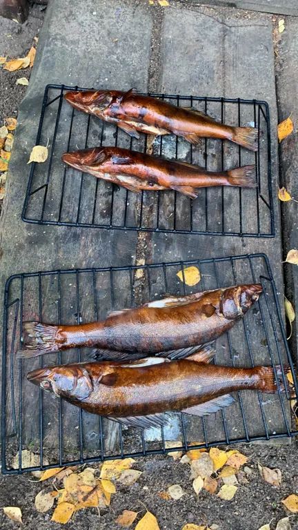 Коттедж Гостевой дом Березово 17 — Березово