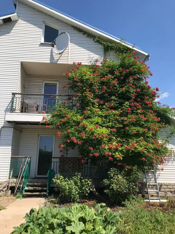 Новый берег