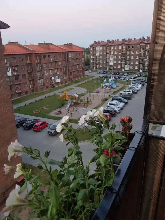 Уютная квартира с видом на море