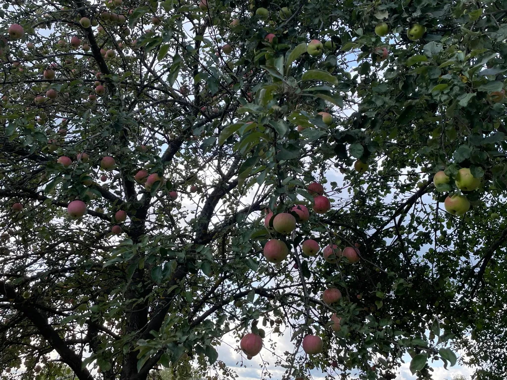 Коттедж с бассейном