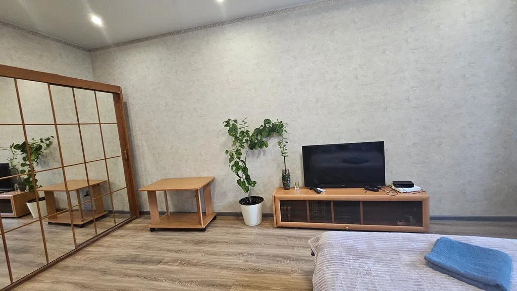 Однокомнатная просторная квартира