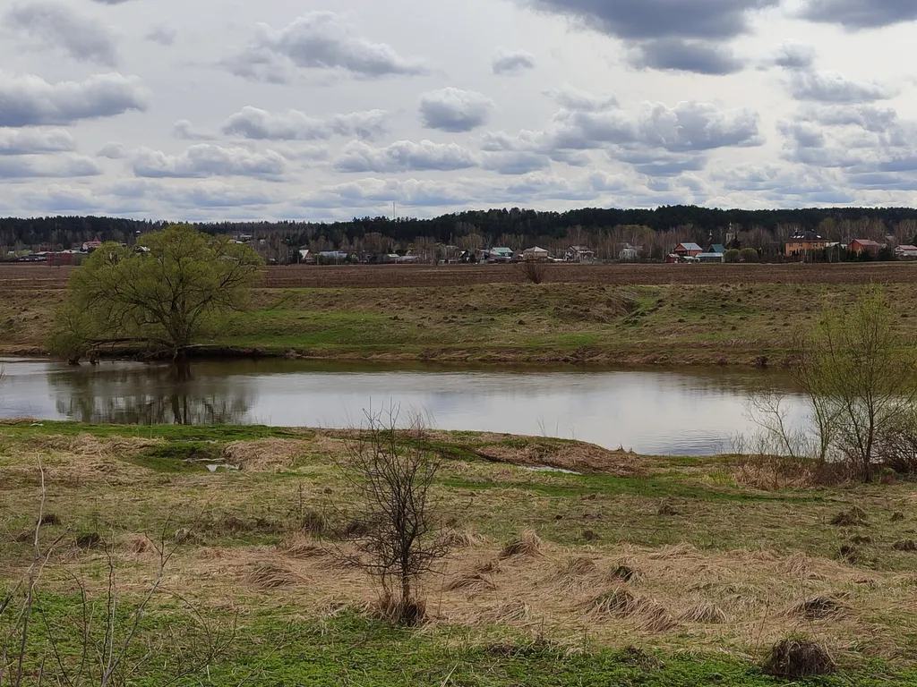 Уютный дом в окружении леса