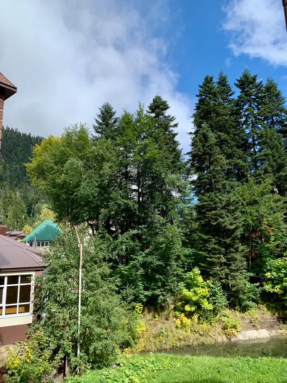 Уютный номер в центре Домбая