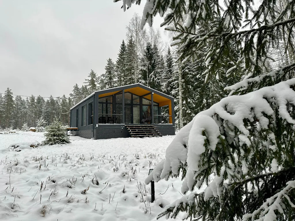 Дом с панорамными окнами в лес