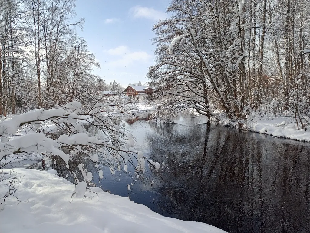 Дом с бесплатной баней на 1 линии от реки