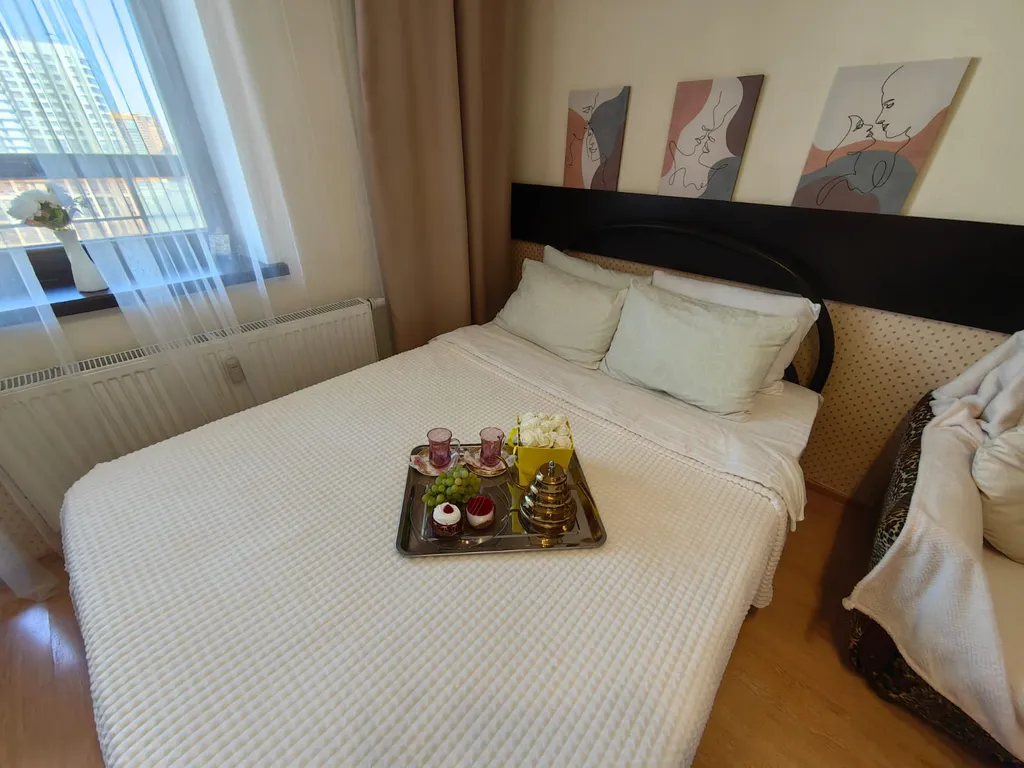 Уютная видовая студия у метро