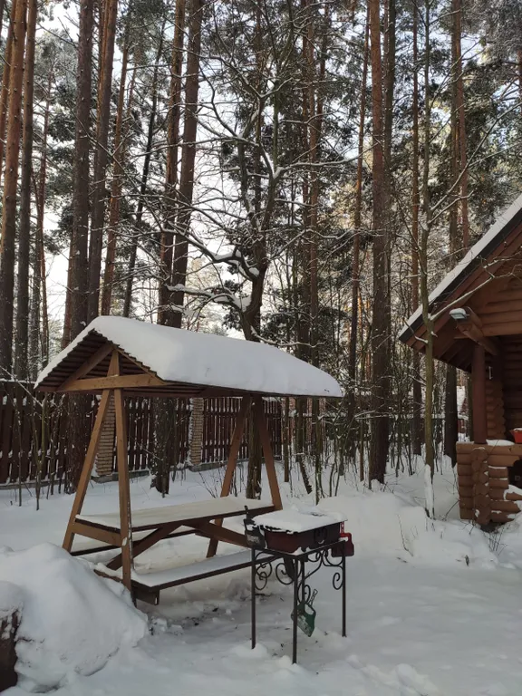 Уютный коттедж в сосновом лесу на берегу Суходольского озера