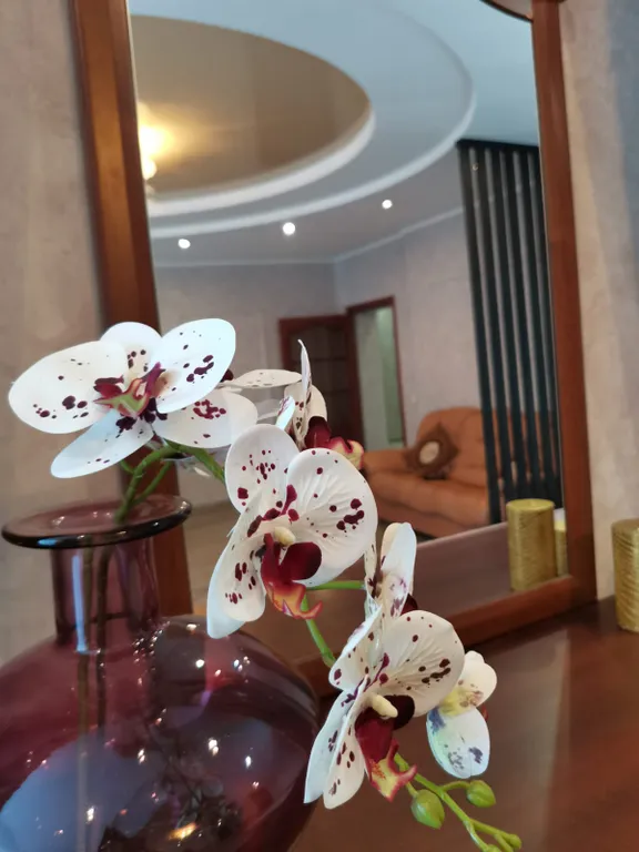 Квартира Большая двухкомнатная рядом с Гринвичем — аренда посуточно в Екатеринбург