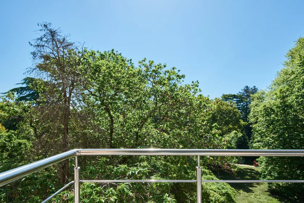 Квартира Квартира Фиолетовый рассвет — Сириус