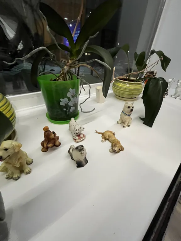 Уютная квартира рядом с парком