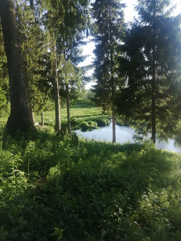 Коттедж Экодом у реки — Сясьстрой