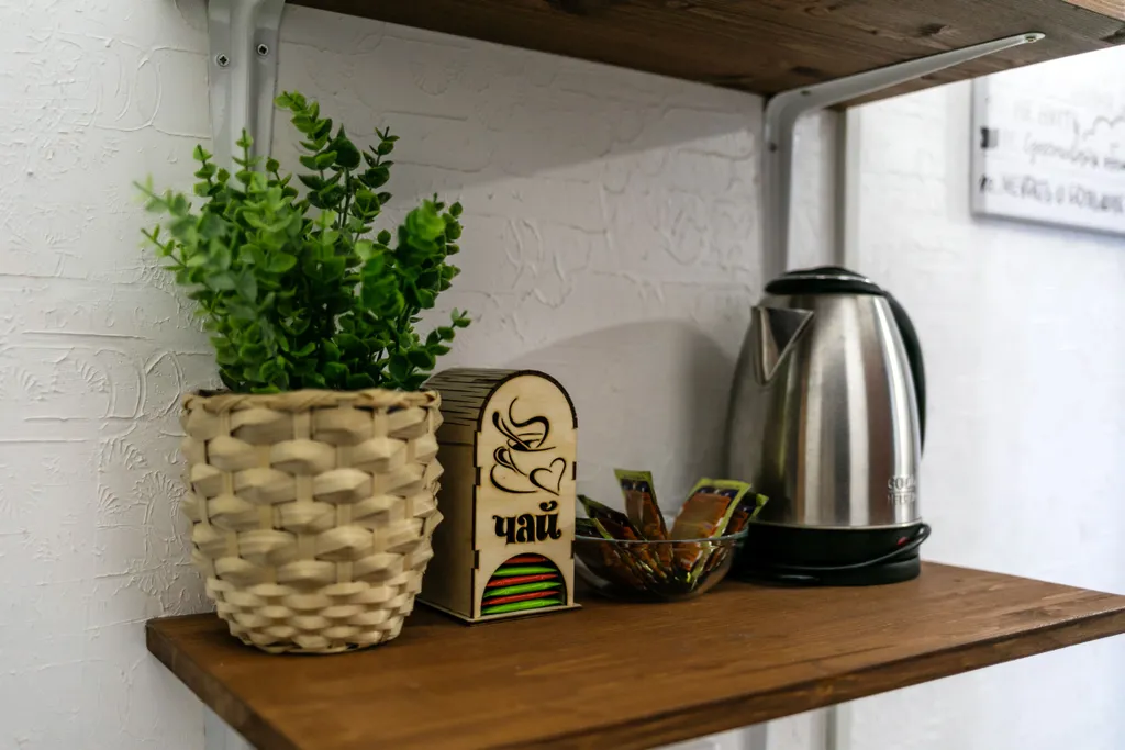 Студия рядом с зоопарком II