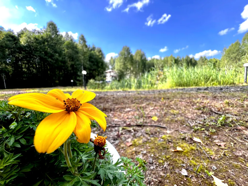 Уютный элитный коттедж на берегу озера рядом с трассой М1