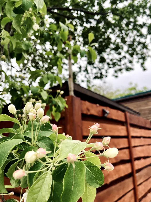 Домик у моря с чаном бухта