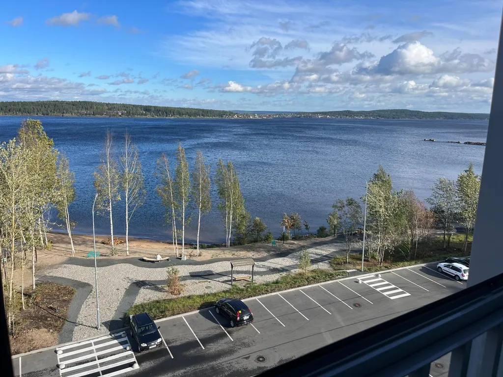 Видовые апартаменты Onego lakе