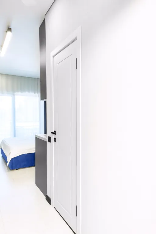 Квартира 1-комнатная Квартира — Сириус