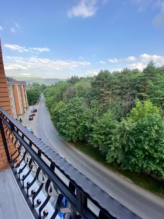 Просторный апартамент с видом на комсомольский парк рядом с озером