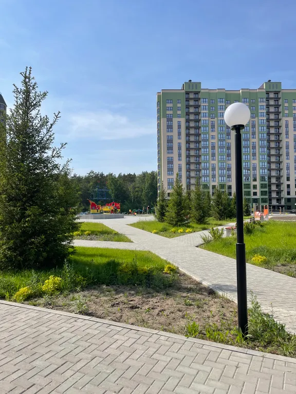Квартира Квартира Уютная квартирка с видом на лес — Барнаул