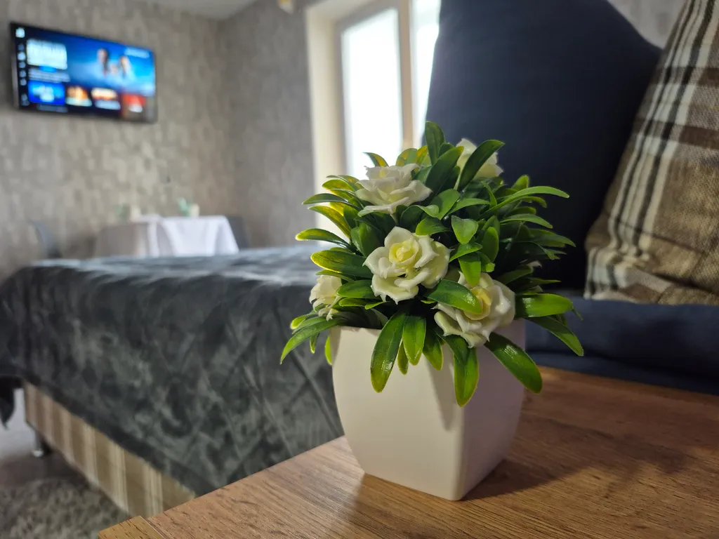 Студия в центре рядом с рекой