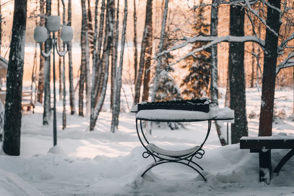 Уютные апартаменты с видом на лес