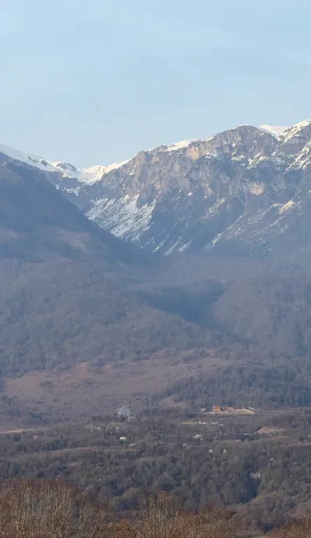 Уютные апартаменты