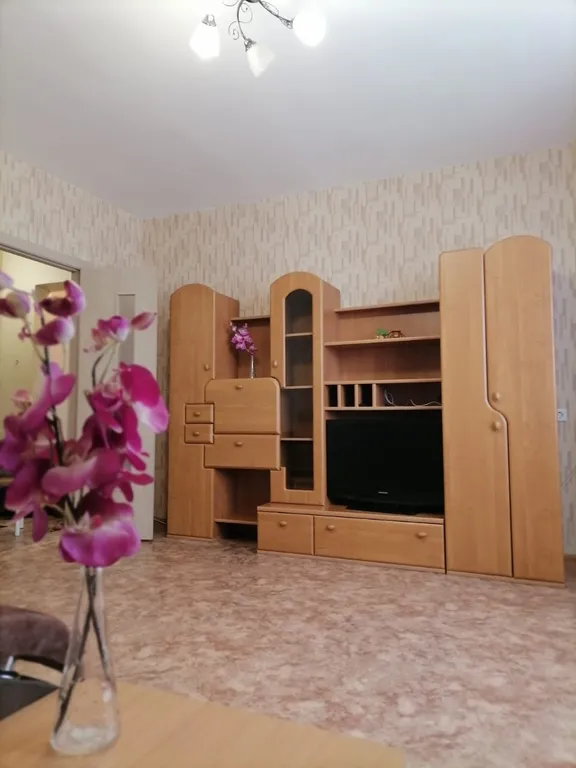 Квартира То, что вы ищете — аренда посуточно в Красноярск