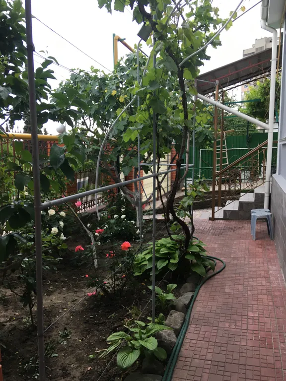 Коттедж Отдельный дом в центре с двориком и паркоместом — аренда посуточно в Алушта