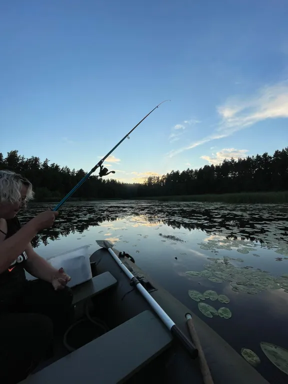 Маленький дом увитый виноградом