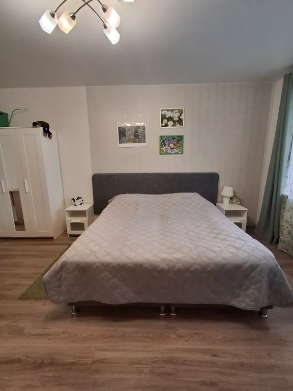 Квартира 1-комнатная Квартира — Луга