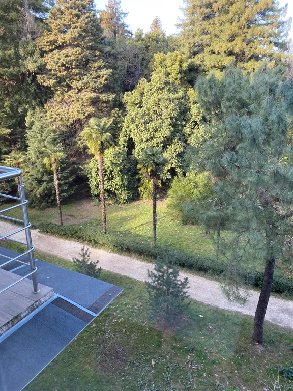 Квартира Квартира у моря с видом на парк — Сириус