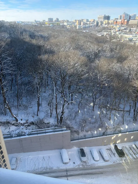 Люкс в центре с видом на лес