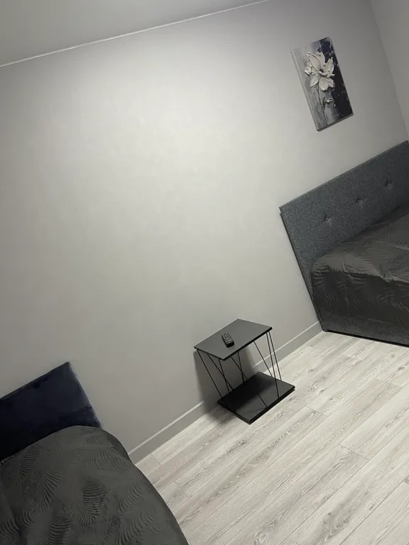 Трёхкомнатная квартира в центре города