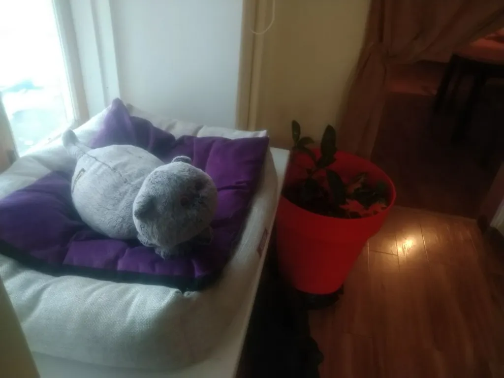 Уютное тихое место