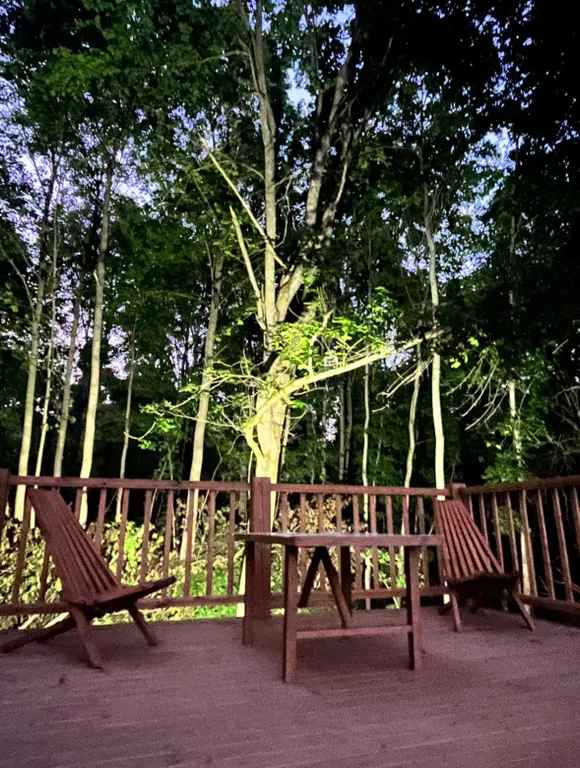 Коттедж Дом у леса — Москва