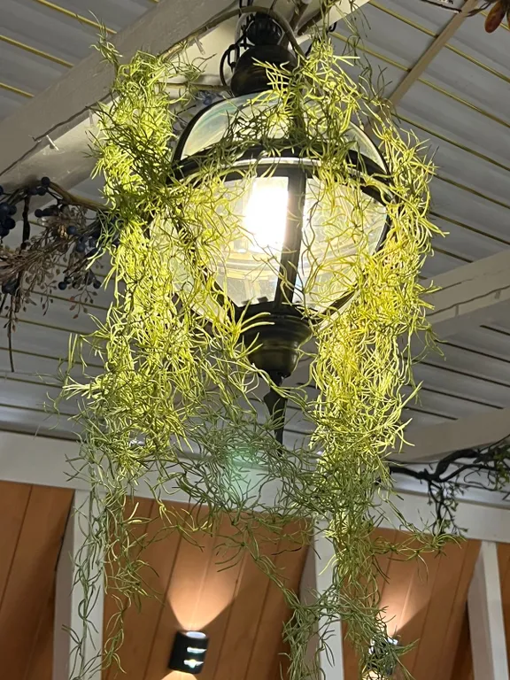 Дом гостевой В гостях у сказки